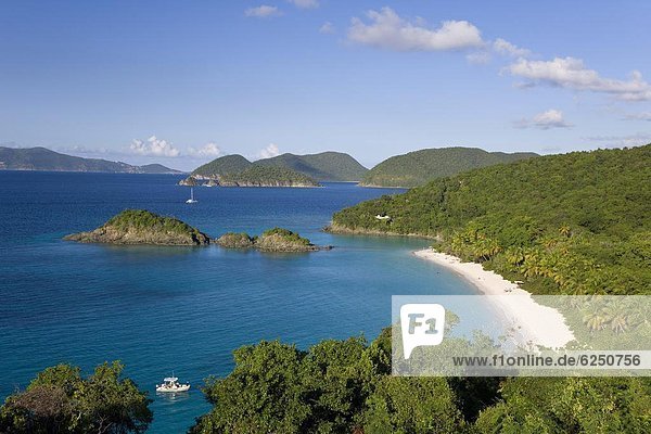 Elevated view over the world famous beach at Trunk Bay  St. John  U.S. Virgin Islands  West Indies  Caribbean  Central America