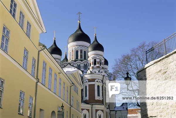 Alexander Nevsky Christian cathedral  the Old Town  Tallinn  UNESCO World Heritage Site  Estonia  Baltic States  Europe