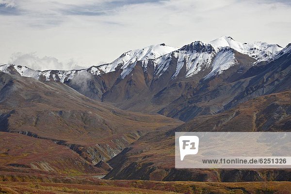 Vereinigte Staaten von Amerika  USA  Farbaufnahme  Farbe  Berg  Nordamerika  bedecken  Denali Nationalpark  Alaska  Schnee  Tundra