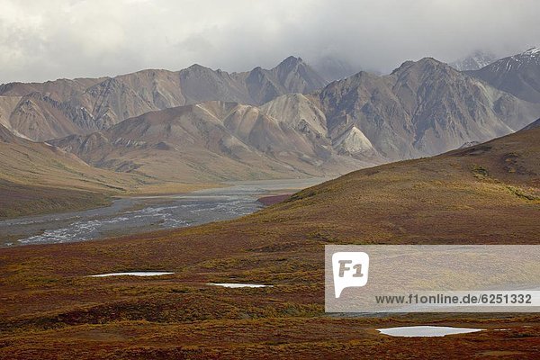Vereinigte Staaten von Amerika  USA  Farbaufnahme  Farbe  Berg  Nordamerika  Denali Nationalpark  Alaska  Tundra