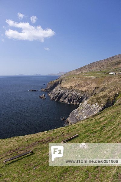 Halbinsel Dingle  County Kerry  Munster  Irland  Europa