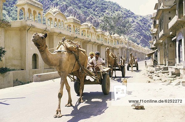 Street scene with camel cart  Jaipur  Rajasthan state  India  Asia