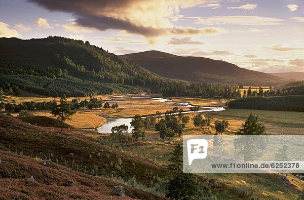 Obere Dee-Tal in der Nähe von Inverey Deeside Aberdeenshire Schottland Vereinigtes Königreich Europa