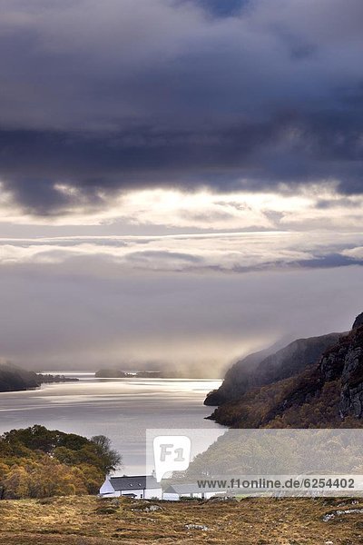 Europa  Morgen  Großbritannien  über  Dunst  hängen  Bauernhof  Hof  Höfe  früh  Fokus auf den Vordergrund  Fokus auf dem Vordergrund  See  Highlands  Schottland  Wester Ross
