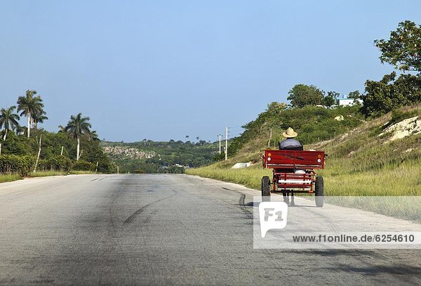 Man driving horse and cart on a wide deserted country road  Cuba  West Indies  Central America
