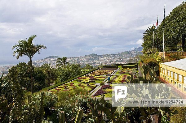 Botanischer Garten Botanische Europa über Ansicht Funchal Madeira Portugal