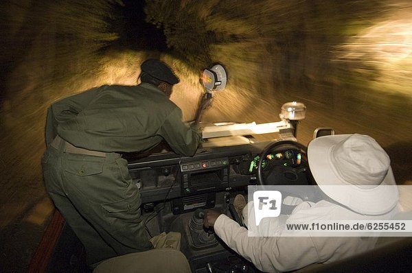 Night game drive in South Luangwa 0tio0l Park  Zambia  Africa