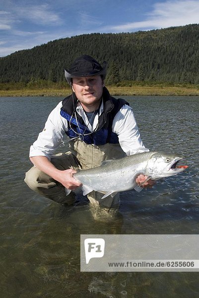 Vereinigte Staaten von Amerika  USA  halten  Nordamerika  Silber  Lachs  Silberlachs  Oncorhynchus kisutch  Alaska  Fischer