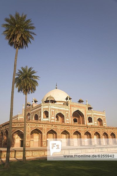Delhi  Hauptstadt  nebeneinander  neben  Seite an Seite  Baum  Architektur  Beispiel  UNESCO-Welterbe  Asien  Indien