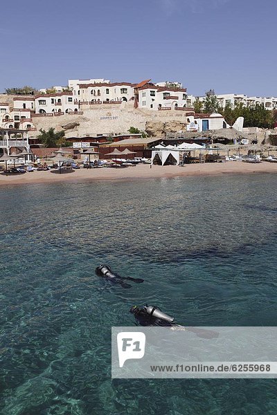 Nordafrika  durchsichtig  transparent  transparente  transparentes  Wasser  Fröhlichkeit  Meer  rot  Taucher  Hai  Afrika  Bucht  Ägypten  Scharm El-Scheich  Sharm el-Sheikh