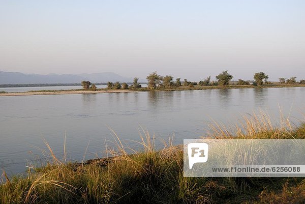 Zambezi River in the early morning  Manapools National Park  UNESCO World Heritage Site  Zimbabwe  Africa