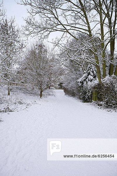 Schnee bedeckter Fußweg  Hampstead Heide  London  England  Großbritannien  Europa
