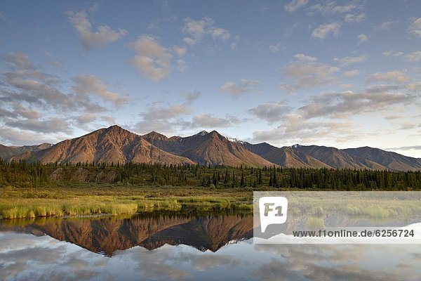 Vereinigte Staaten von Amerika  USA  Berg  Spiegelung  Nordamerika  Bundesstraße  vorwärts  Denali Nationalpark  Alaska  Teich