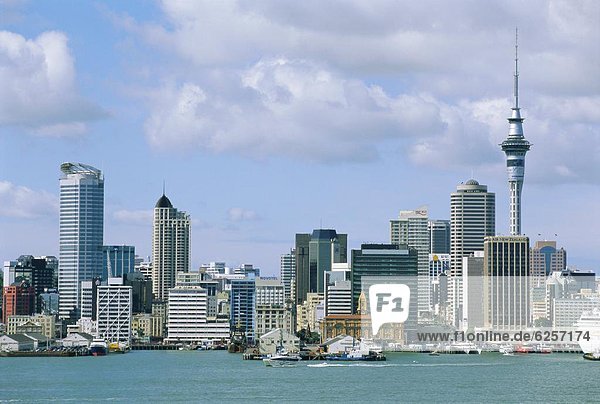 City skyline  Auckland  North Island  New Zealand  Pacific