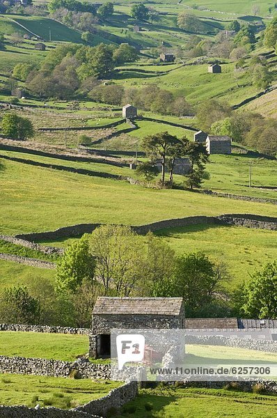 Steinmauer Europa Großbritannien trocken Scheune Yorkshire and the Humber England Swaledale