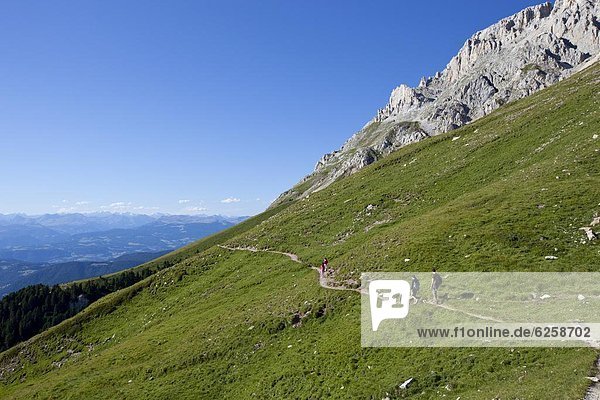 Hiking in the Latemar mountain range  Dolomites  eastern Alps  South Tyrol  Bolzano province  Italy  Europe