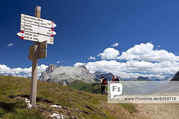 Trentino Südtirol Ansicht Flucht