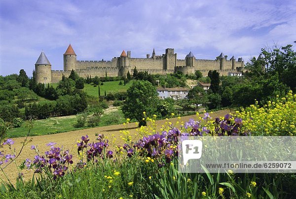 Frankreich  Europa  UNESCO-Welterbe  Carcassonne