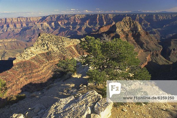Vereinigte Staaten von Amerika  USA  Nordamerika  Arizona  UNESCO-Welterbe