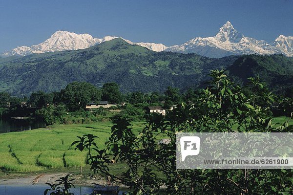 Mount Machapucharé (Machhapuchhare)  Himalaya  Nepal  Asien