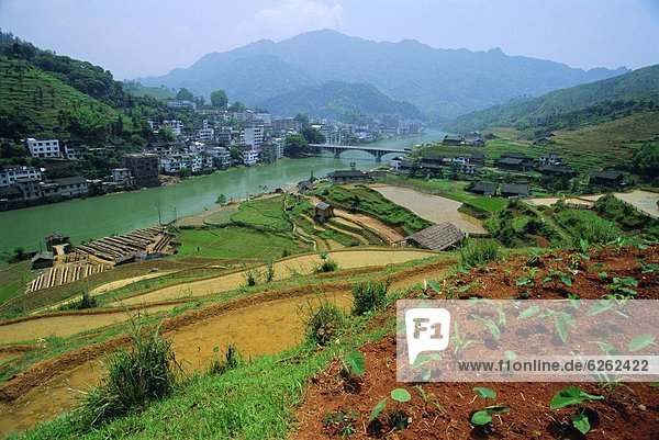 Ziegelstein  Reis  Reiskorn  Neuengland  China  Guangxi  Longsheng