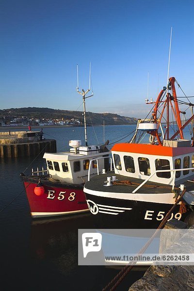 Hafen  Europa  Großbritannien  vertäut  angeln  Schiff  Lyme Regis  Dorset  England