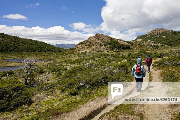 Hikers walking one of the many paths in the Chalten area of Los Glaciares National Park  UNESCO World Heritage Site  Patagonia  Argentina  South America
