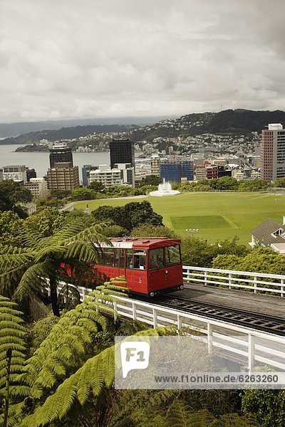 Wellington Hauptstadt Pazifischer Ozean Pazifik Stiller Ozean Großer Ozean neuseeländische Nordinsel Neuseeland