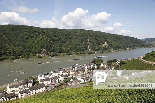 Assmannshausen  Rhine Valley  Hesse  Germany  Europe