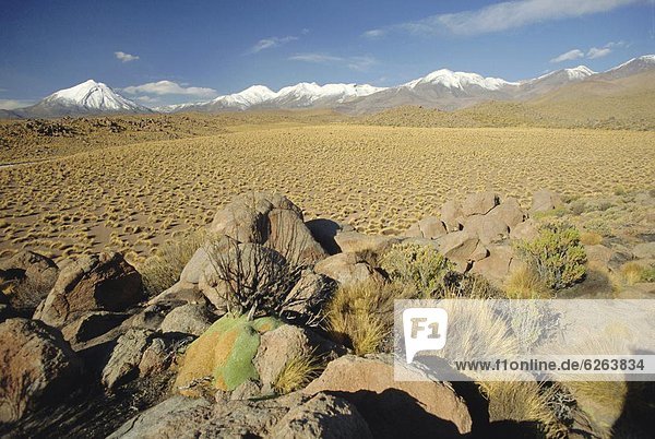 Wüste  Anden  Atacama  bedecken  Chile  Schnee  Südamerika