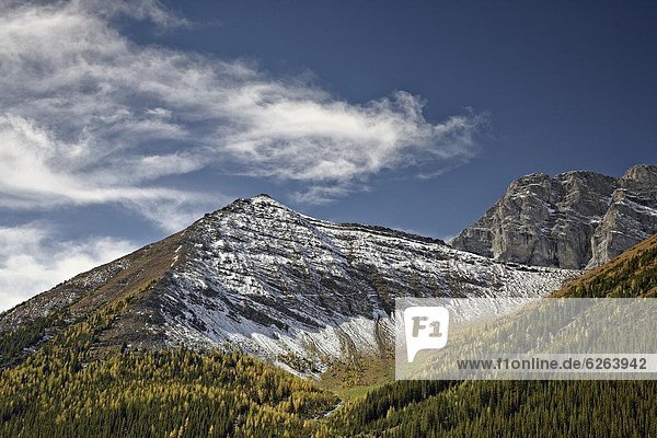 nahe  Farbaufnahme  Farbe  Frische  Nordamerika  Peter Lougheed Provincial Park  Alberta  Kanada  Highwood  Kananaskis Country  Schnee