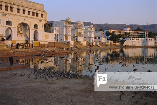Pushkar  Rajasthan  India