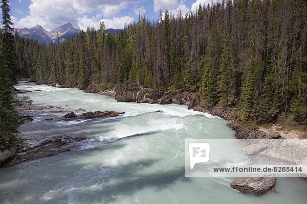 nahe , Landschaft , treten , Brücke , Fluss , Nordamerika , Rocky Mountains , UNESCO-Welterbe , Yoho Nationalpark , British Columbia , Kanada