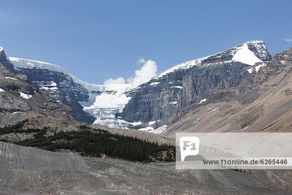 Columbia Icefield  Jasper National Park  UNESCO World Heritage Site  Alberta  Rocky Mountains  Canada  North America
