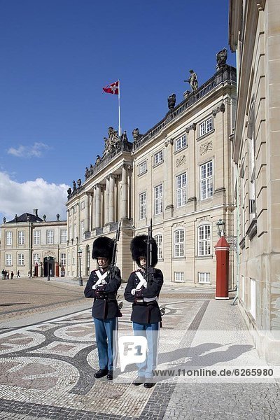 Guards at the Amalienborg Castle  Copenhagen  Denmark  Scandinavia  Europe