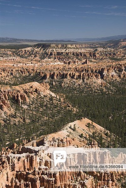Alligator rock formation in white  Bryce Point  Bryce Canyon National Park  Utah  United States of America  North America