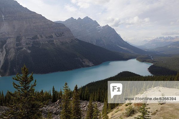 Farbaufnahme  Farbe  Schönheit  See  Nordamerika  Peyto Lake  Rocky Mountains  Banff Nationalpark  UNESCO-Welterbe  Alberta  Kanada