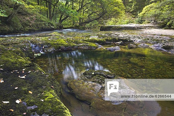Wasser  Europa  Sommer  Großbritannien  Bett  Fluss  Schwimmbad  Brecon Beacons National Park  Powys  Wales