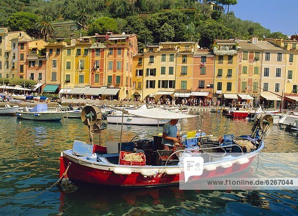 Hafen Gebäude Boot Italien Ligurien alt Portofino