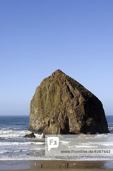Heuhaufen Rock  Cannon Beach  Oregon  Vereinigte Staaten von Amerika  Nordamerika
