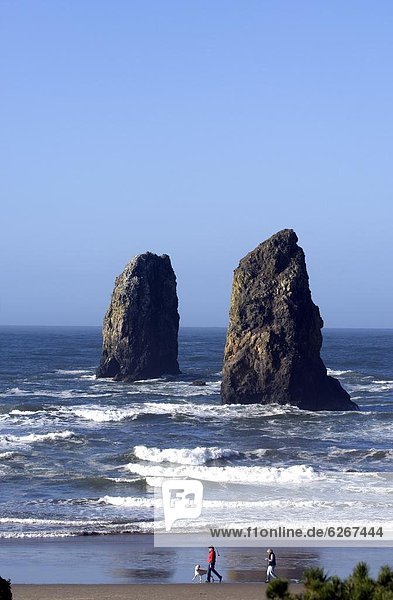 Haystack Rock  Cannon Beach  Oregon  United States of America  North America