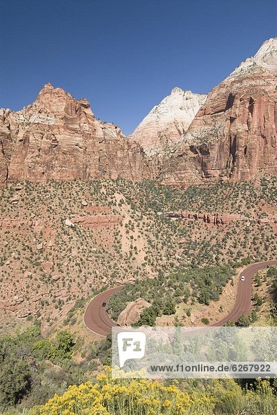 Vereinigte Staaten von Amerika  USA  sehen  Anordnung  Nordamerika  Bundesstraße  Berg  Zion Nationalpark  Sandstein  Utah