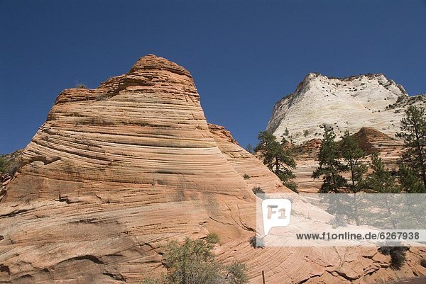 Vereinigte Staaten von Amerika  USA  überqueren  Anordnung  Sand  Nordamerika  Bundesstraße  Berg  Düne  Zion Nationalpark  antik  Kreuz  Sandstein  Utah