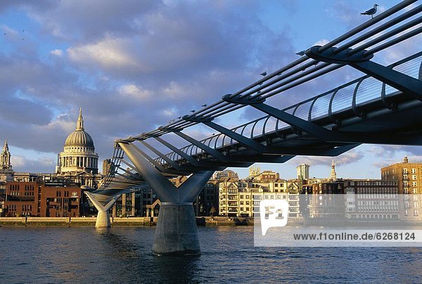 Millennium bridge and St Pauls  London  England