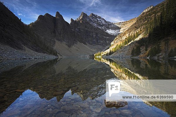 The shallow Lake Agnes captures a perfect reflection of the mountain rang  Banff National Park  UNESCO World Heritage Site  Alberta  Rocky Mountains  Canada  North America