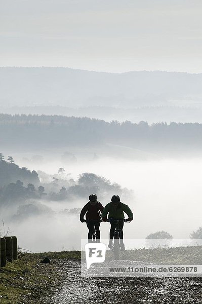 Two mountain bikes climbing up hill  silhouetted against mist  Newlands Corner  near Guildford  Surrey Hills  Surrey  England  United Kingdom  Europe
