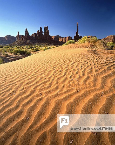 Totem Pole and Sand Springs  Monument Valley Tribal Park  Arizo0  United States of America  North America