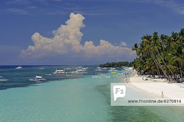 Alona Beach  Panglao  Bohol  Philippinen  Südostasien  Asien