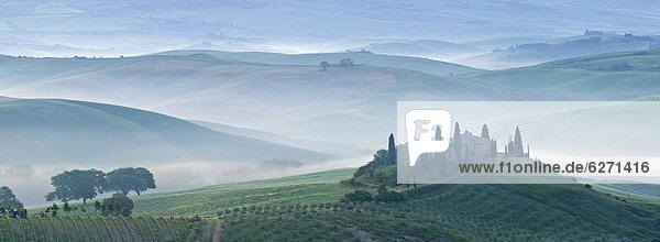 Dawn view of Val d'Orcia showing Belvedere and rolling Tuscan countryside  UNESCO World Heritage Site  San Quirico d'Orcia  Tuscany  Italy  Europe