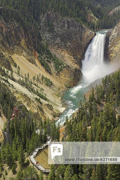 Vereinigte Staaten von Amerika USA Fluss Nordamerika Yellowstone Nationalpark UNESCO-Welterbe Lower Falls North Rim Wyoming